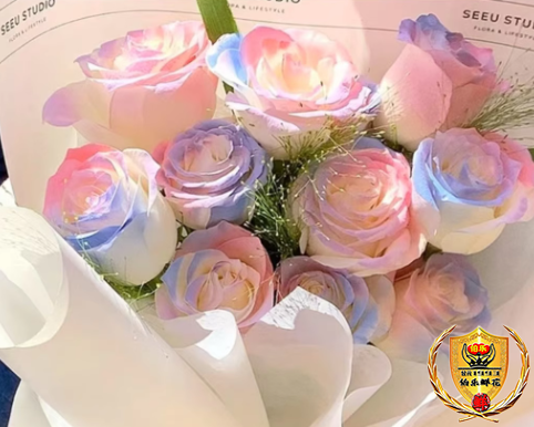 【人间至美】11朵人鱼姬玫瑰花混搭鲜花束生日鲜花惊喜花束送恋人送朋友送老师鲜花店配送