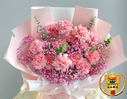 【时光荏苒 师恩永驻】11朵粉色康乃馨鲜花束教师节礼物送妈妈/老师/长辈花店送花上门