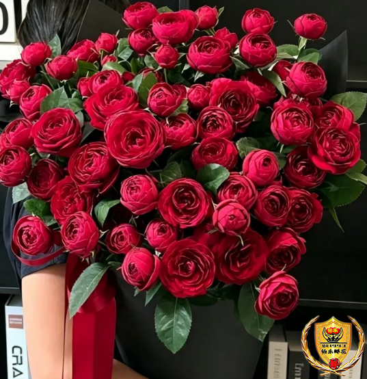 【甜美初见】七夕52朵红蕾丝红