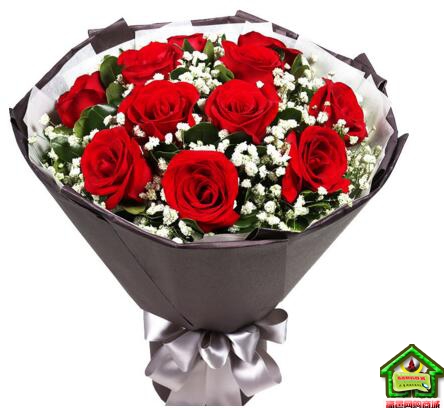 挚爱的人----精品红玫瑰11枝满天星