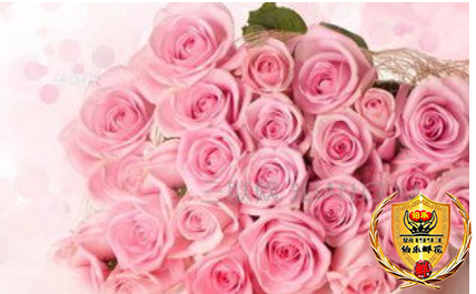 38女神节企业团购单支红色/粉色玫瑰花束38女神节礼物女神节鲜花送员工花店送花上门