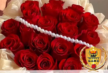 情人节专属【你是我的命中注定】19朵红玫瑰鲜花束送女友老婆对象恋人男朋友花店送花上门
